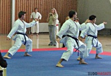 Kakusei Karate OB Szigetszentmiklóson