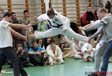 TKD: Dan vizsga 2013 – beszámoló