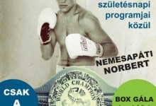 Két WBC címmérkőzés Budapesten