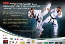 A Tigris Dojo az idei full-contact csapat bajnok