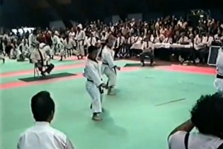 Karate, a mozgás művészete