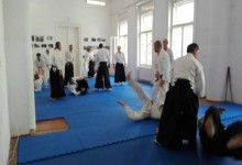 Sikeres Aikido szeminárium Békéscsabán