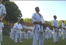 A várpalotai Főnix Dojo 24. edzőtábora Csetényben