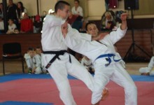 Hatalmas tömeg vett részt a Shotokan Európa-kupán Hévízen