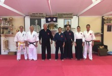 Hiko Ryu szeminárium Szolnokon Shihan Furkó Kálmán dojo-jában