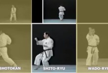 Egy formagyakorlat három karatestílusban: ezt a videót látni kell!