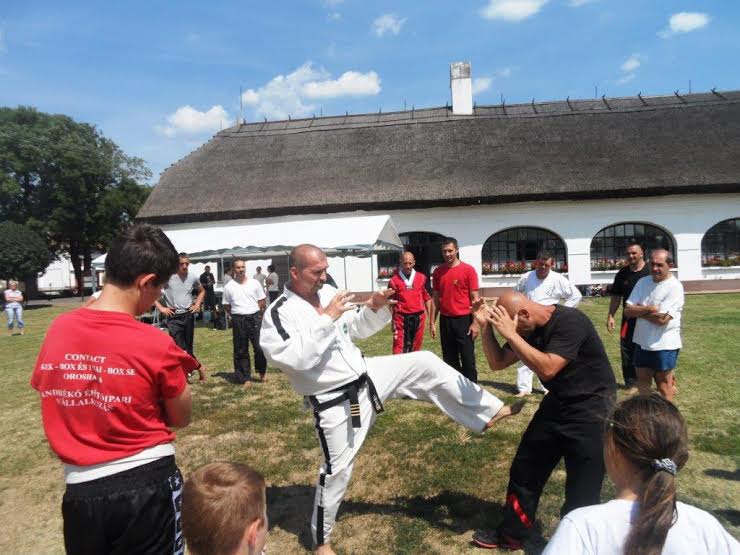 Nagy László (6.DAN) bemutatja a taekwon-do technikát